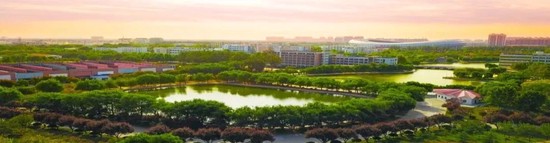 职业球员如何通过联赛提升竞技水平_0